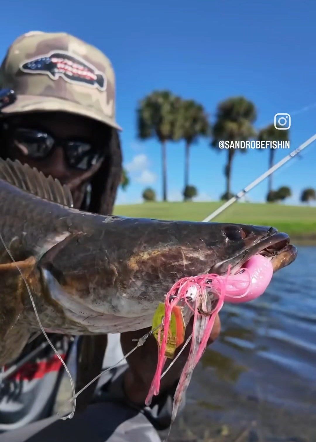 ASC Apex Blade Bladed Jig
