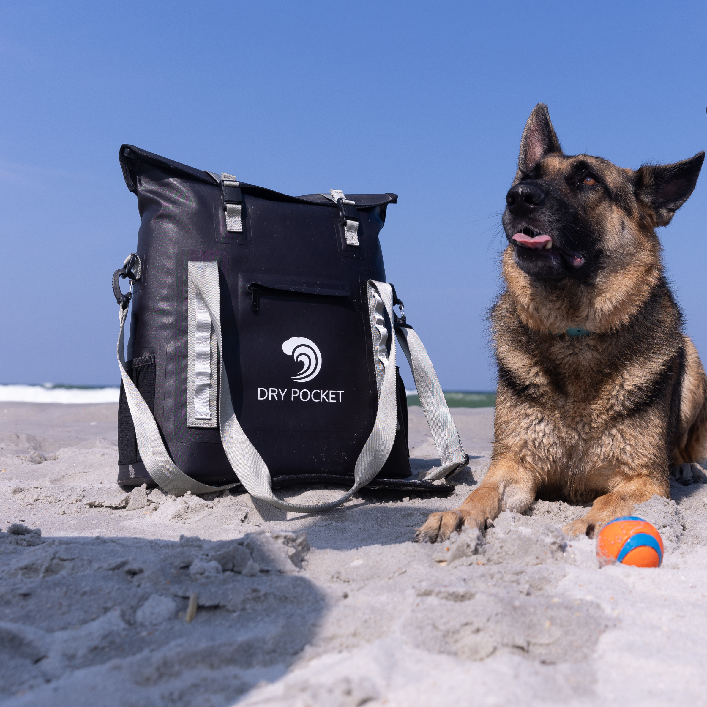 Black Dry Pocket waterproof dry bag with gray straps on beach beside German Shepherd dog and ball