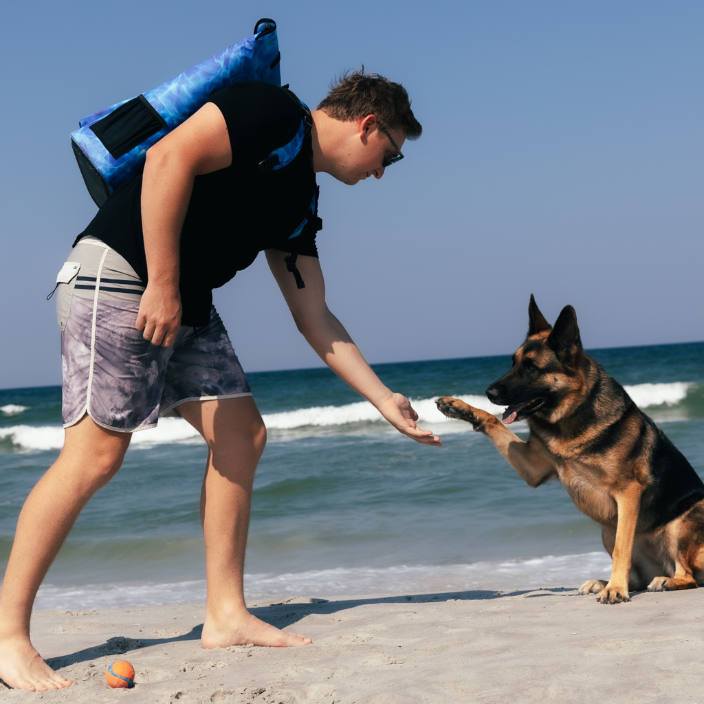 Man with blue water-resistant backpack playing with German Shepherd on beach, ideal for outdoor adventures and dog training.