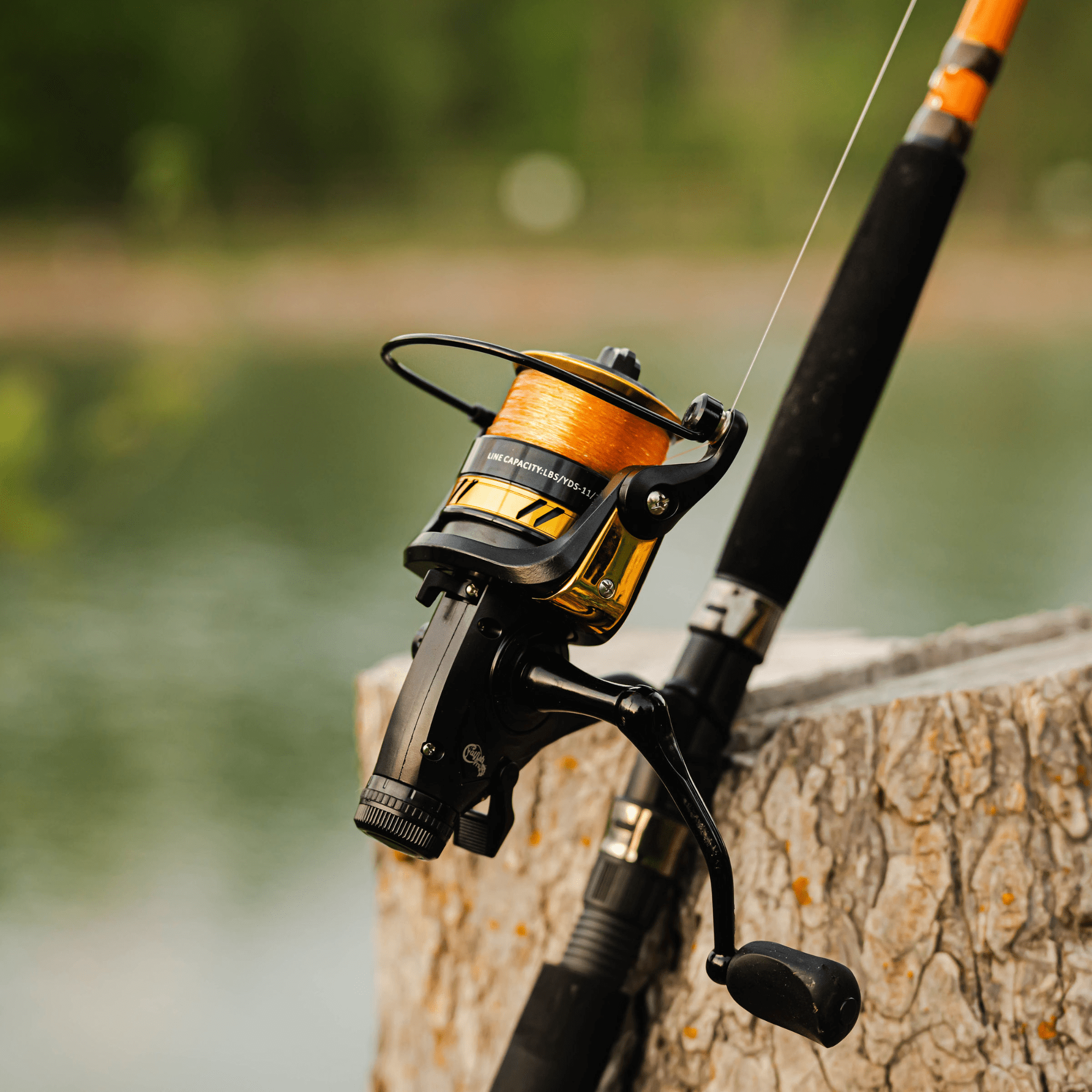 Fishing for Fun Spinning Combo - Catfish Rod
