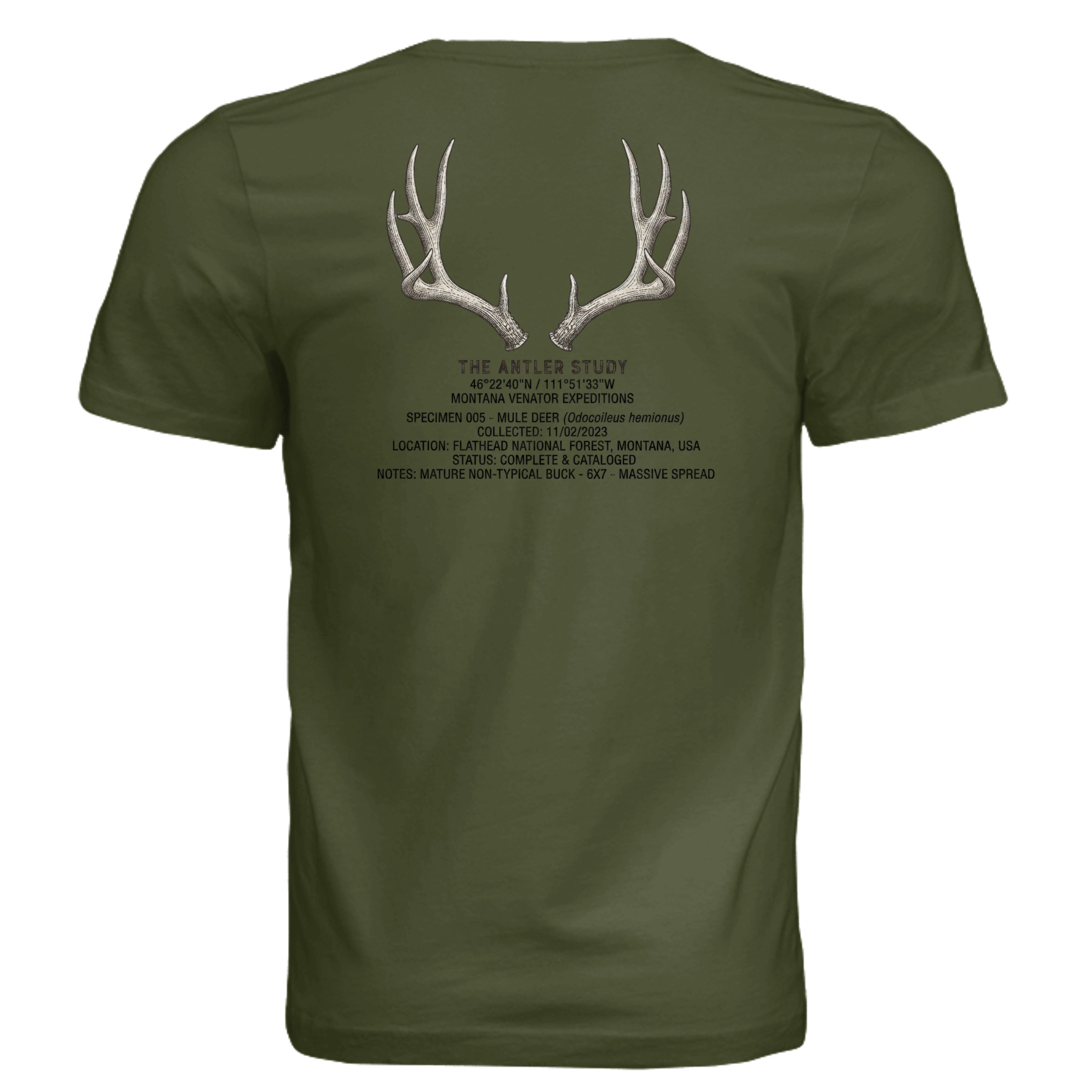 OLIVE - 3001C - BACK