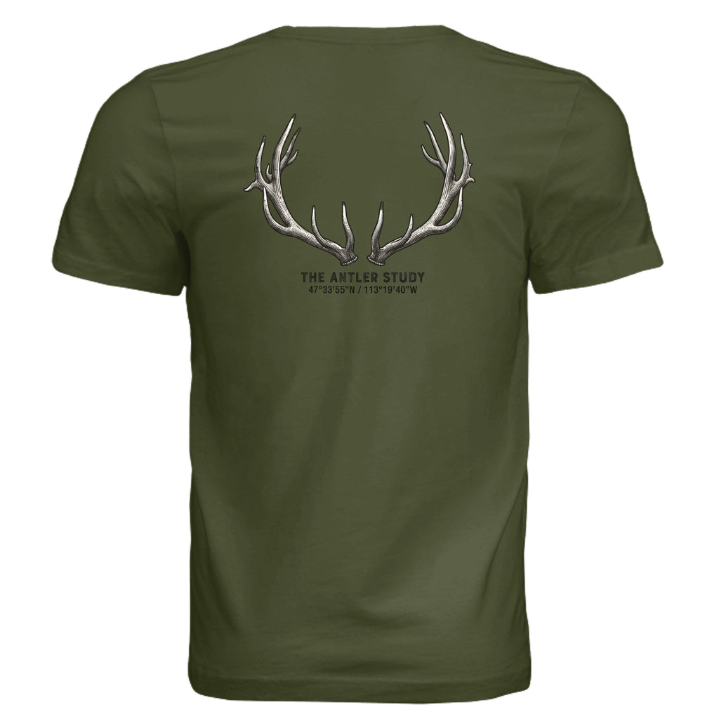OLIVE - 3001C - BACK